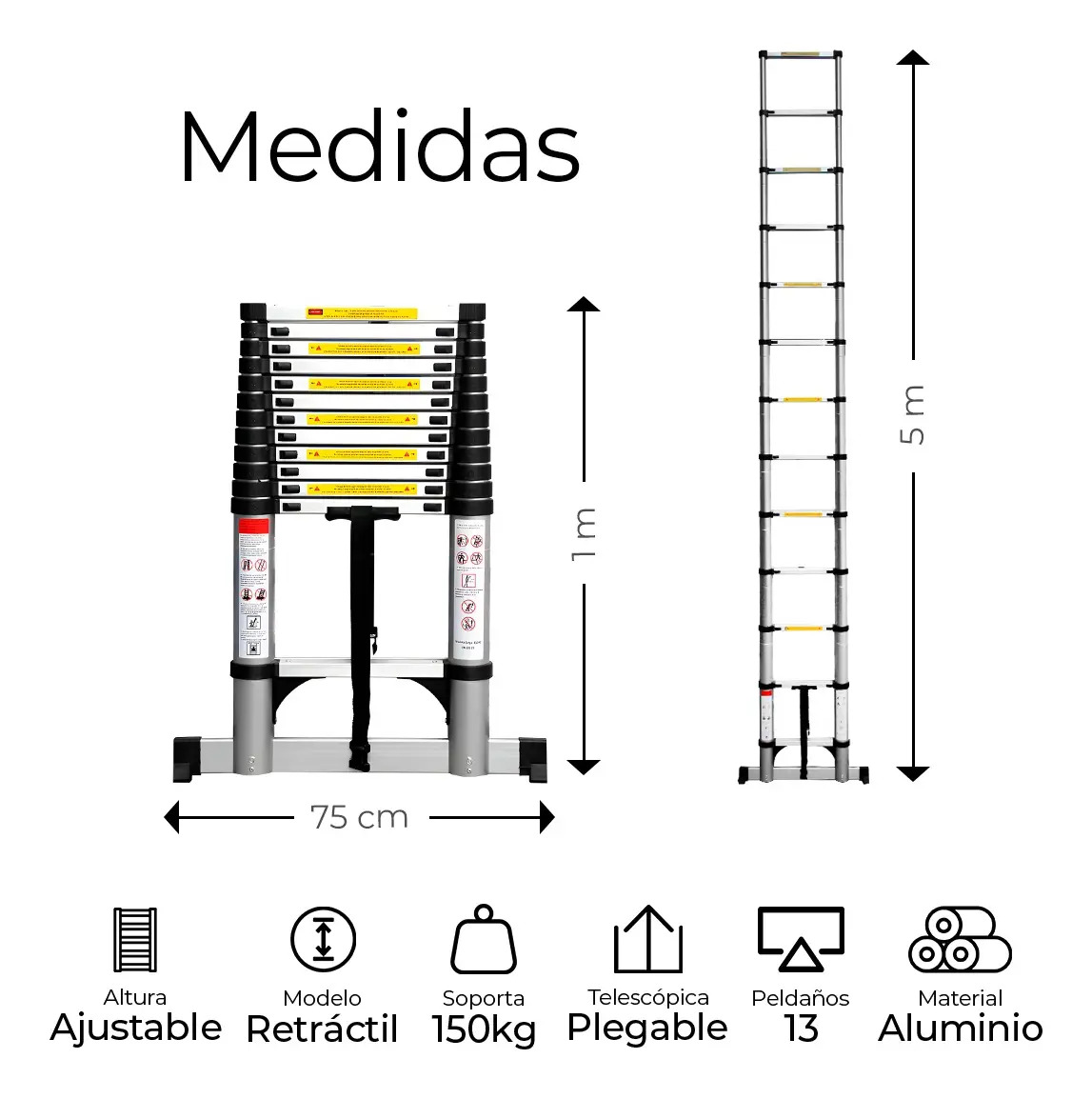 Escalera Telescópica 5m Raganet para Hogar — Vista extendida mostrando los 13 peldaños y altura de 5 m