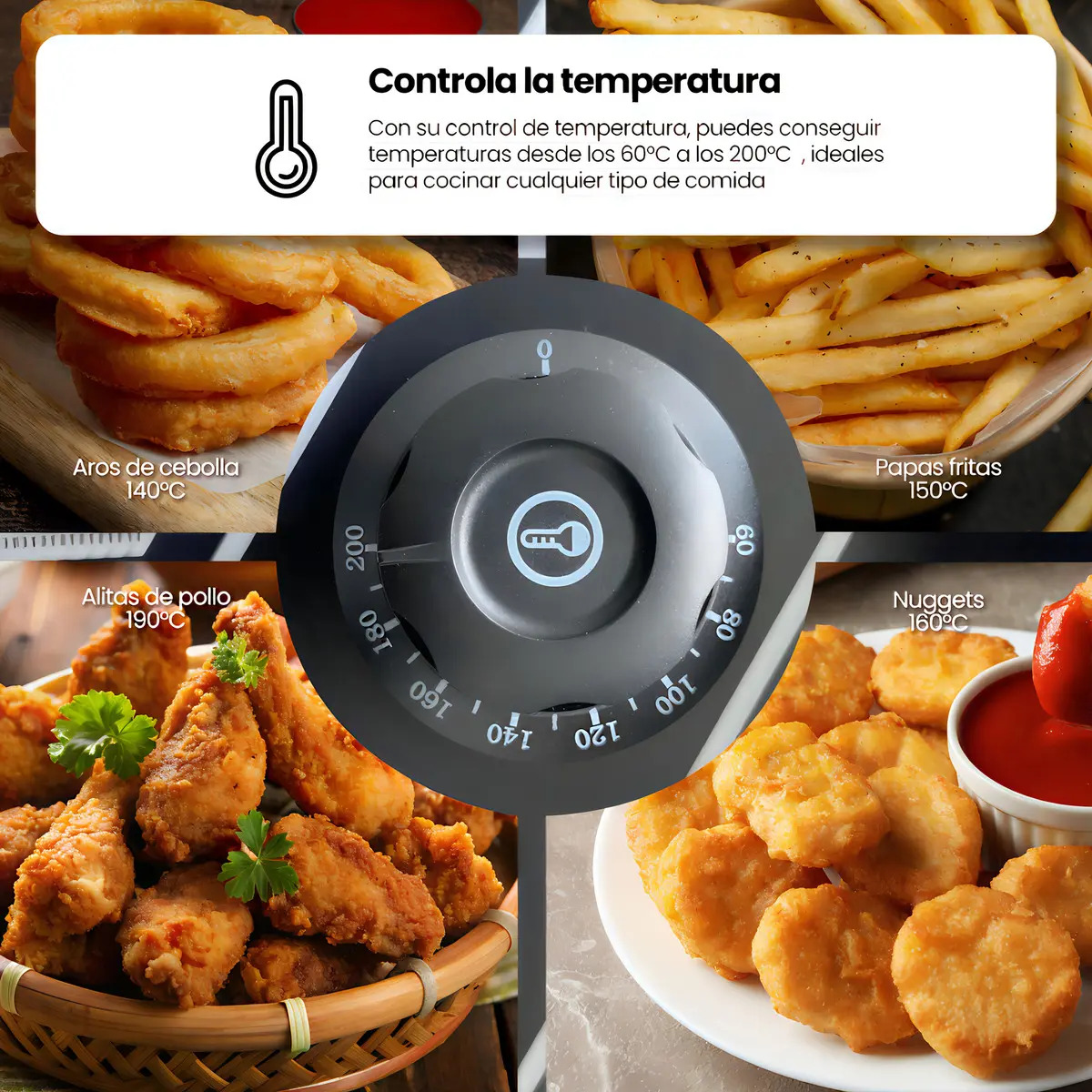 Freidora de aceite 12L Raganet termostato ajustable — Interior con capacidad de 12 litros