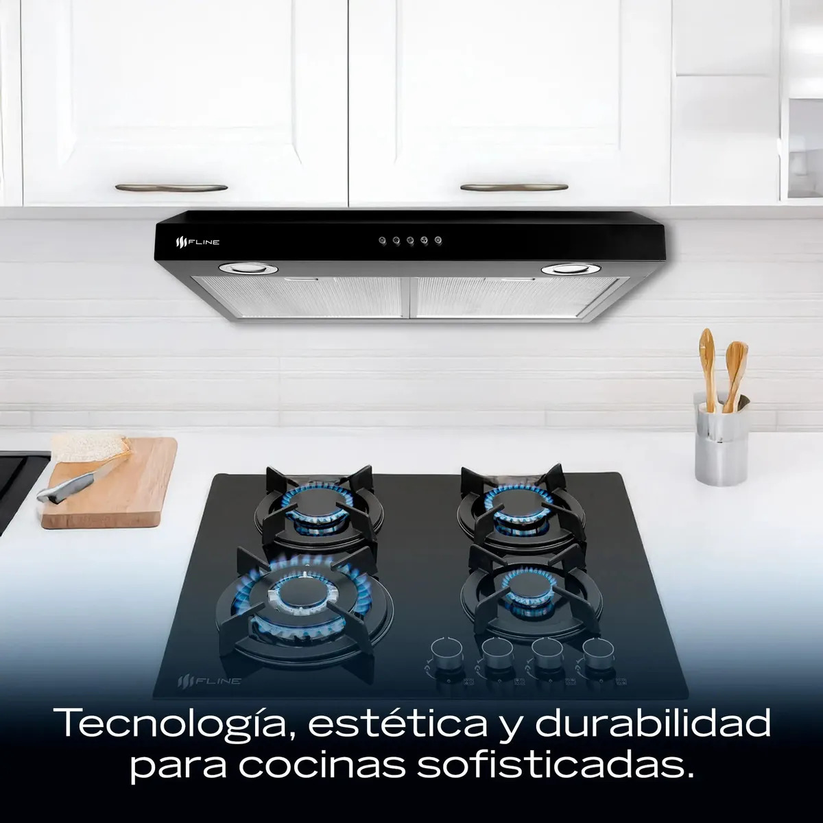Parrilla de gas 4 quemadores Fline OS4BR60 con campana — Detalle del panel de control y perillas de la parrilla
